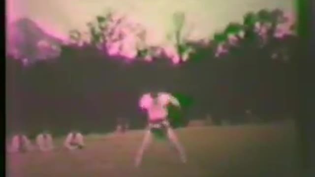 When Taekwondo Was A Very Deadly Art