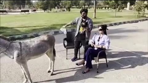 Hello Facebook team is the only way to be a picture