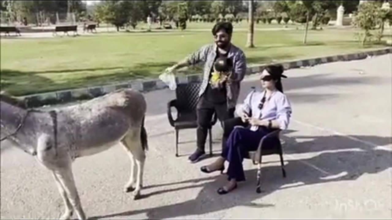 Hello Facebook team is the only way to be a picture