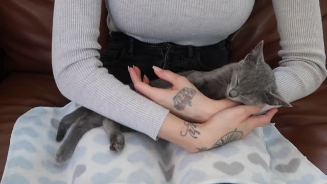 ASMR Kitten Massage (Gentle Acupressure, Hypnosis, Gua Sha) 🐱