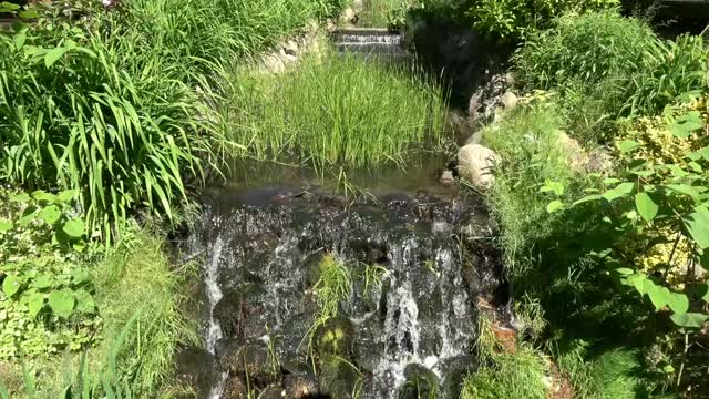 Relaxando com sons de cachoeira e canto dos pássaros