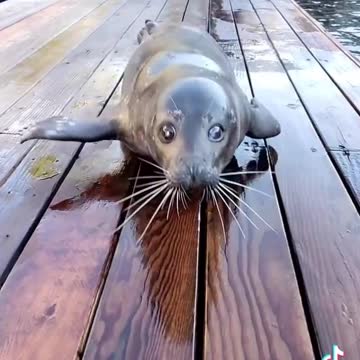 pov you just saw someone across the room open a pack of gum