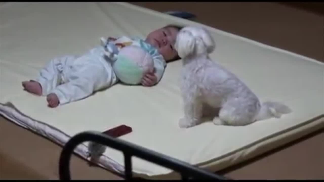 Moeder legt haar baby naast het hondje. Wat ze dan filmt is echt te schattig