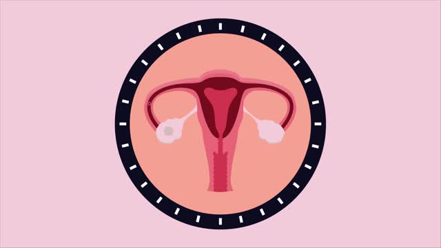 What Is The Menstrual Cycle? | Physiology | Biology | FuseSchool