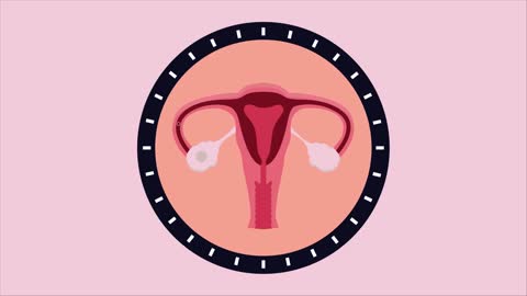 What Is The Menstrual Cycle? | Physiology | Biology | FuseSchool