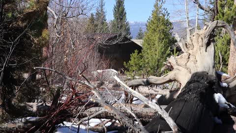 A Closer Look at the 2020 Fires - Rocky Mountain National Park