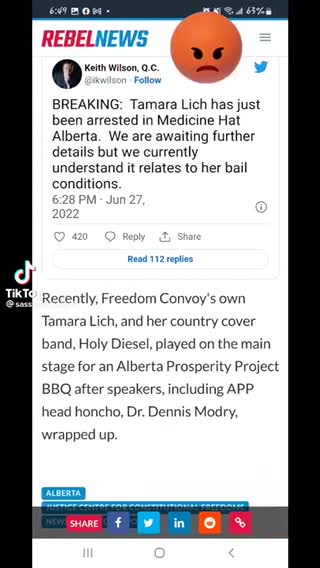 Tamara Lich arrested again !