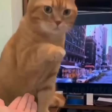 Don’t leave me hanging 🤣🤣🤣