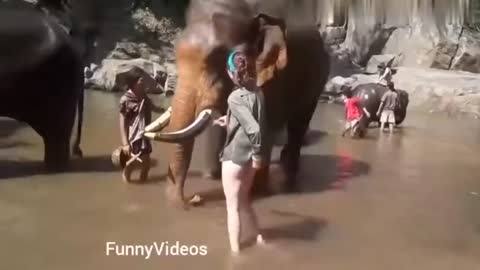 Funny😆😆😆 | video