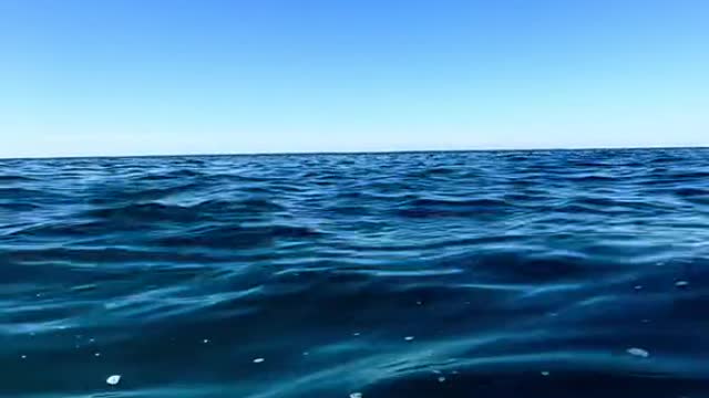 What it looks like at eye level to the ocean