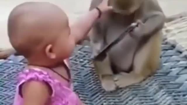 Monkey child and women children to friend