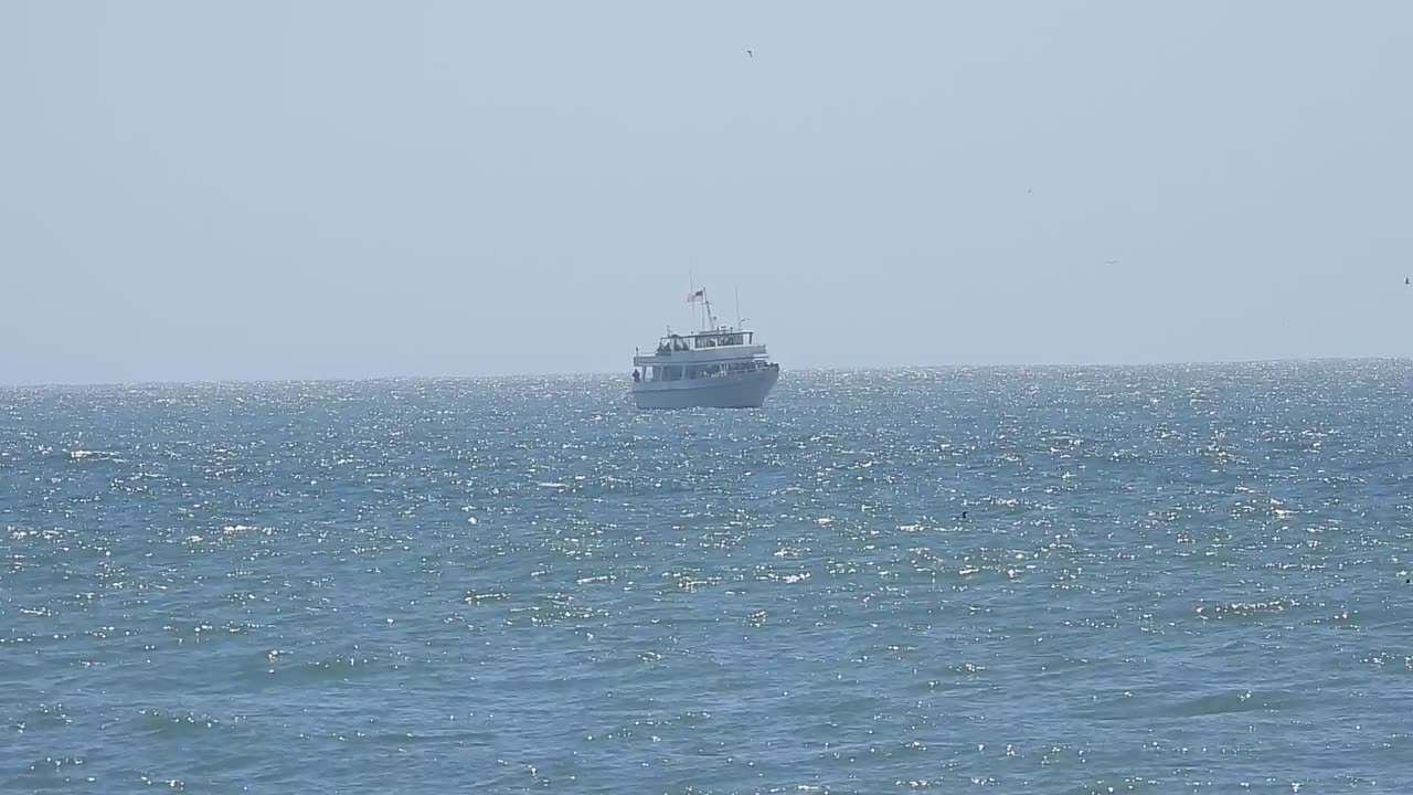 Humpback Whale Sighting - Moss Landing, Calif.