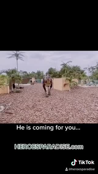 Dino Hunt Laser Tag @HeroesParadise