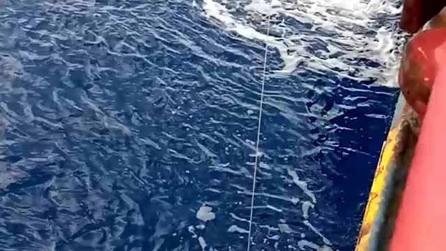 Fishing octopus