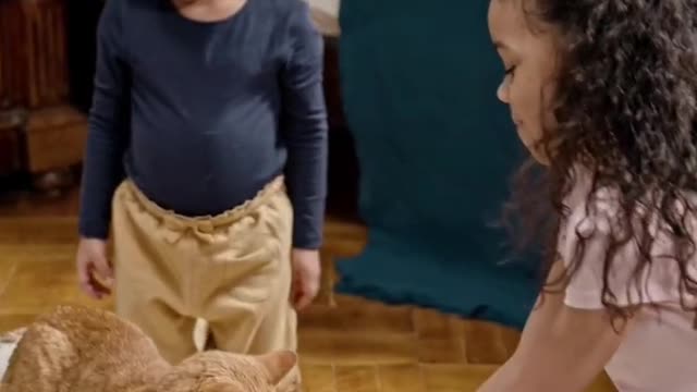 Kids Playing With Their Cat On A Skateboard