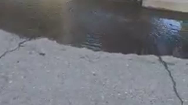 Сухуми 05.03.2021 - Сухуми 05.03.2021