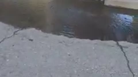 Сухуми 05.03.2021 - Сухуми 05.03.2021