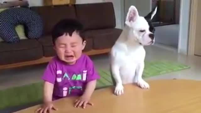 Try Not to LAUGH while watching Kids fails Videos Funniest Home Videos