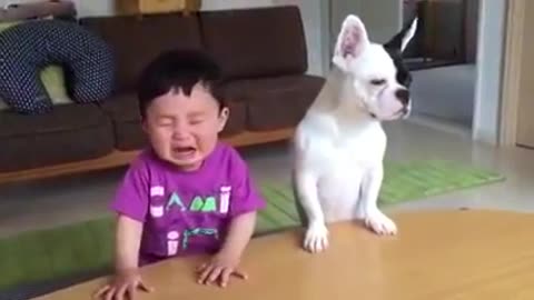 Try Not to LAUGH while watching Kids fails Videos Funniest Home Videos