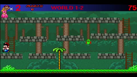 Super Mario World The New Levels