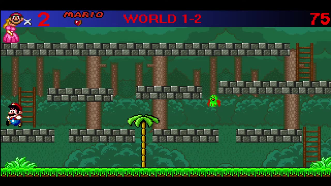 Super Mario World The New Levels