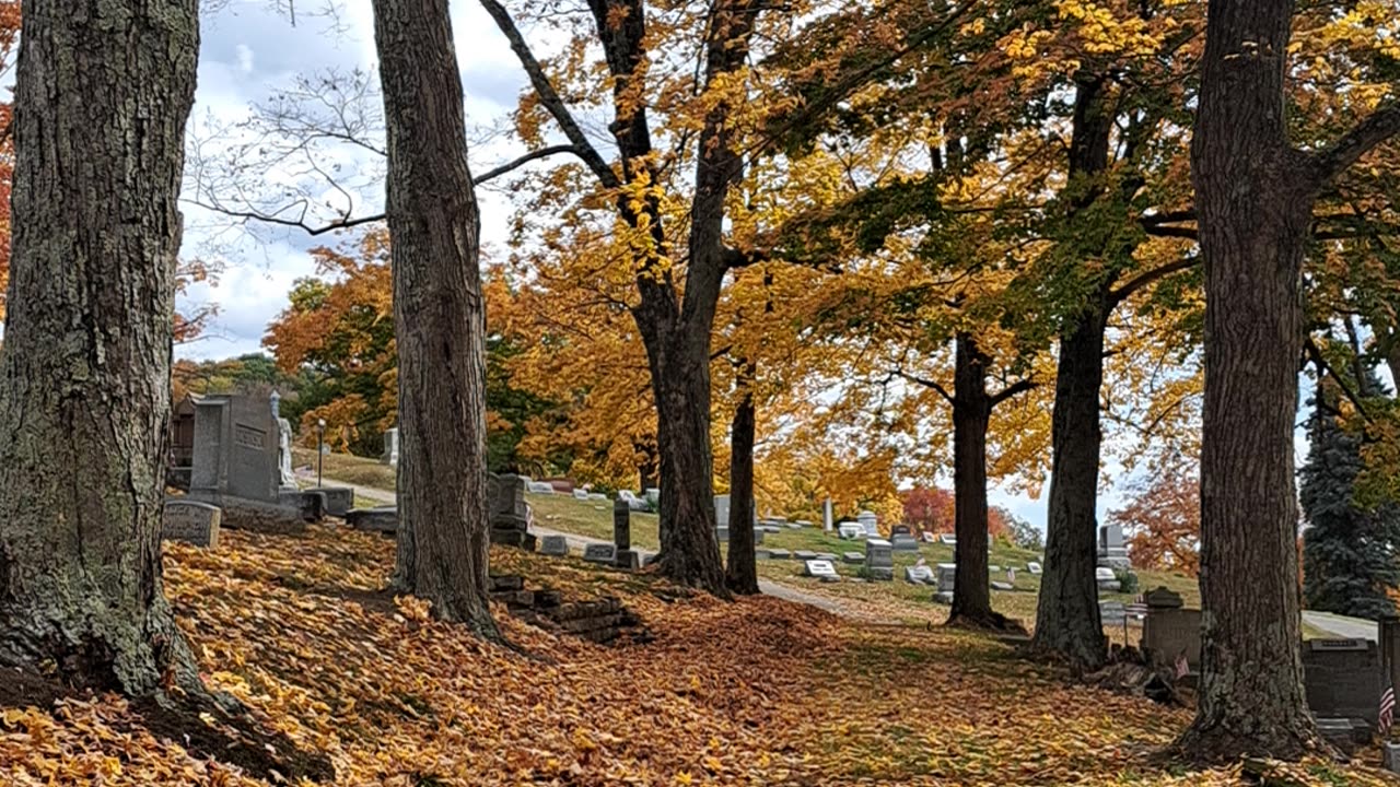 A drive through "The land of the dead" seeing the living colors. 10/26/23