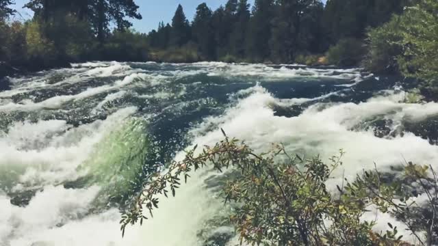 Water and nature realise