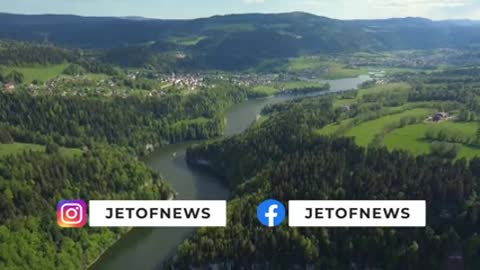 Urso invade casa, toca piano e faz banquete!