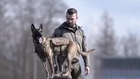 Army dog trening video 🐕