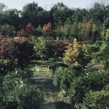 Most unusual way to market nursery stock