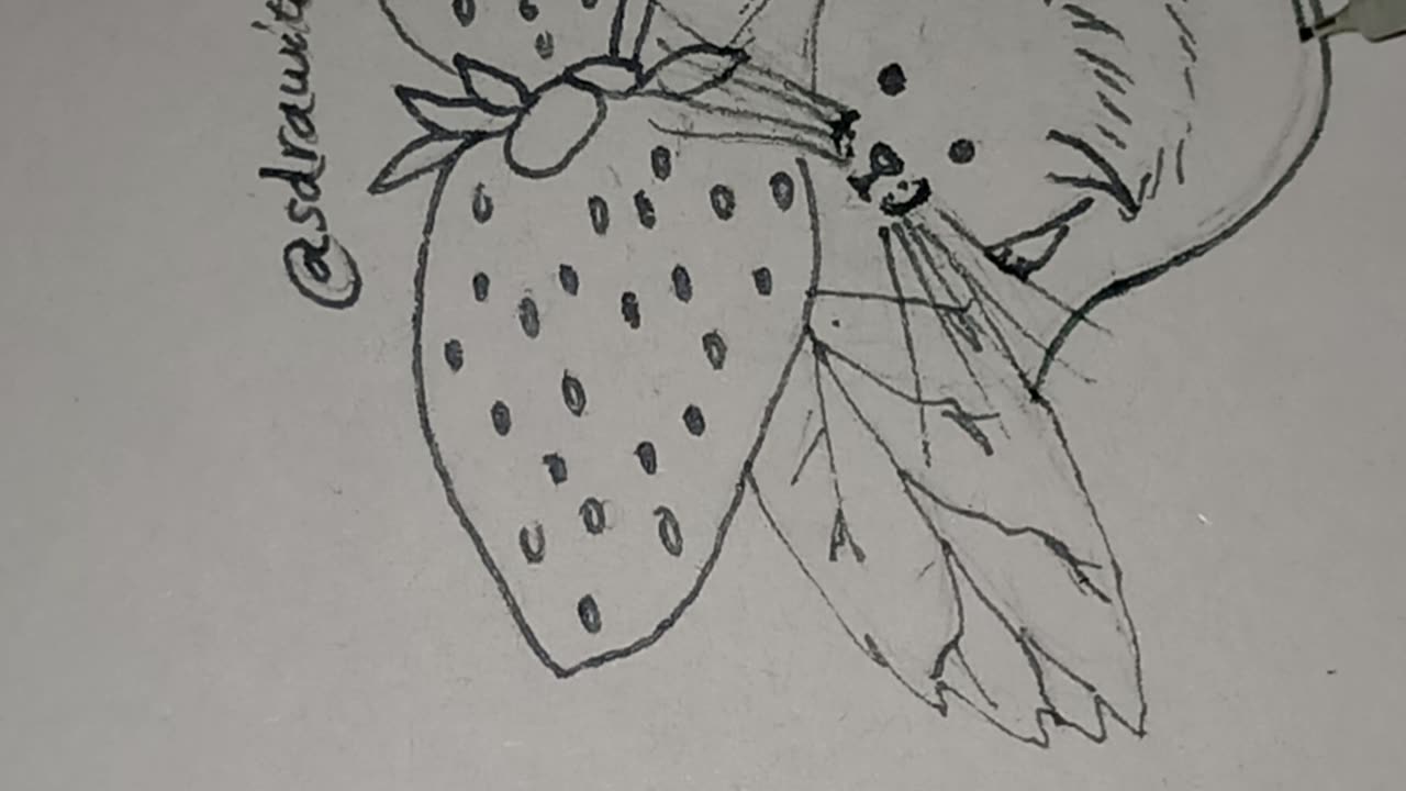 Mouse With Strawberries Illustration