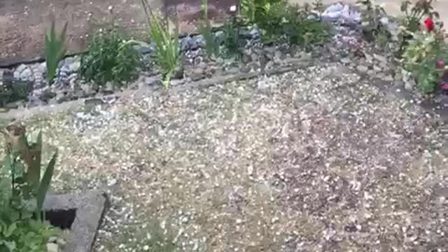 Great hail in Albania Europe