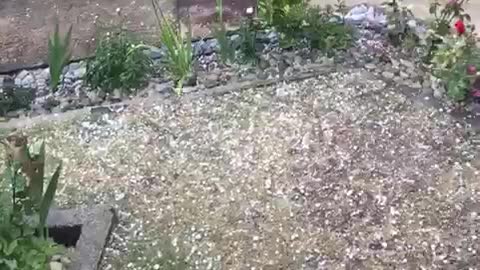 Great hail in Albania Europe