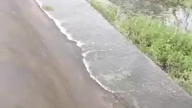 Brazilians in the hinterland durinho the flood season