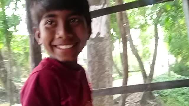 2022 New Style Vlog