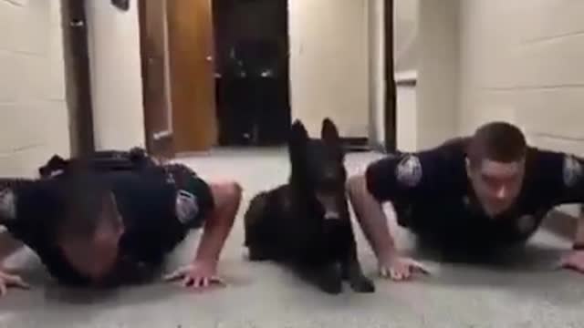 Dog Inspiration, Dog Exercise with Cops