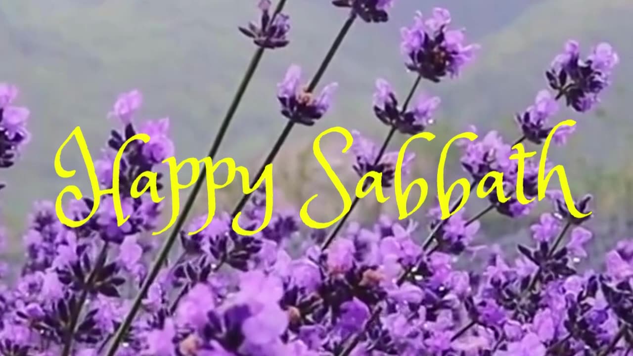 The Sabbath Is a Golden Clasp That Unites God and His People - Maranatha P. 244