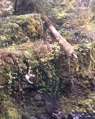 Slowmo shirtless guy attempts backflip off grassy cliff backflops lake