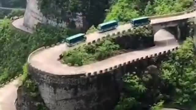 the nature