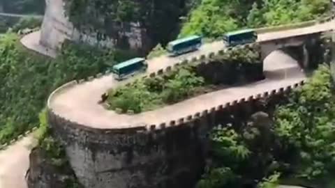the nature