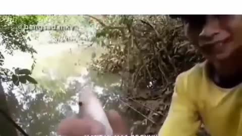 This is a beautiful and charming water-dwelling species