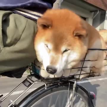 Just sit in the car and don't move #adorepankaj #Facebook