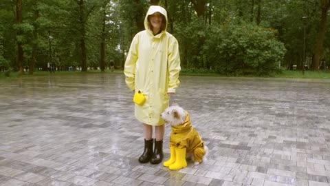 A Woman and a Dog Wearing Raincoat and Rubber Boots