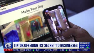 TikTok May Offer Its Secret Algorithm to Businesses