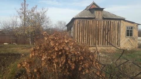 Dried hops and an abandoned house