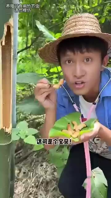 Do you dare to eat bamboo worms |Chinese Mountain Forest Life And Food | EaterStrawHat