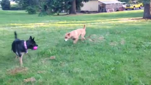 Fiona & Autzen