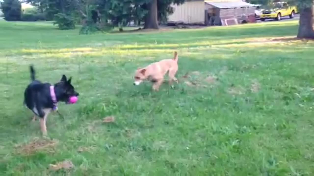 Fiona & Autzen