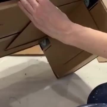 Best cat furniture decoration room