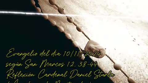 Evangelio del día 10/11/2024 según San Marcos 12, 38-44 - Cardenal Daniel Sturla